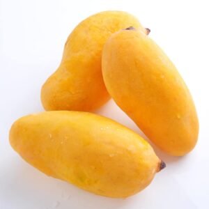 Mango (Sindhri)