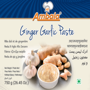 Ginger garlic paste